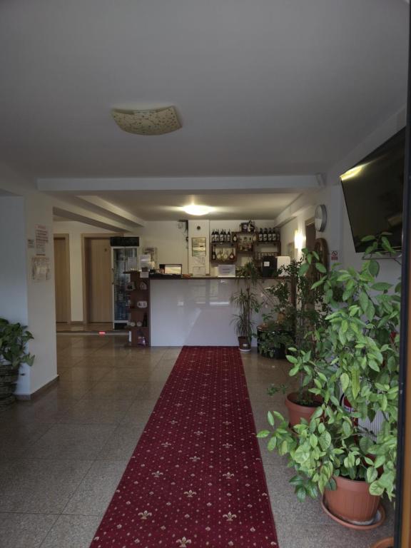 Holul de la recepția pensiunii